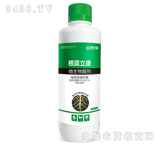 ��������-�ÌW(xu��)��