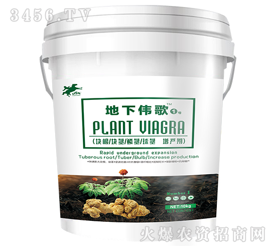 ���K�o���a(ch��n)��-������1̖-����������Դ