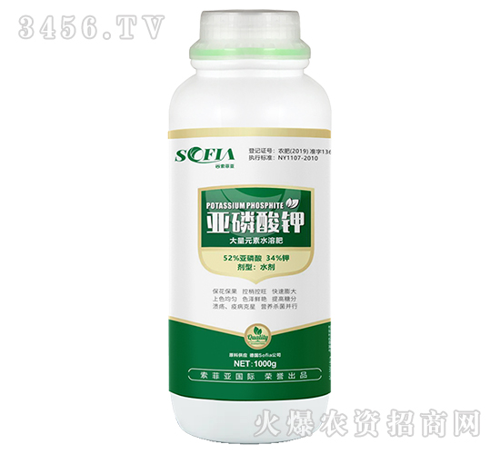 1000g�������-���Ɓ�