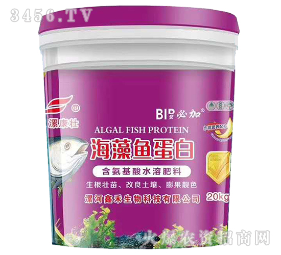 �����~����-�𿵉�-�κ�����