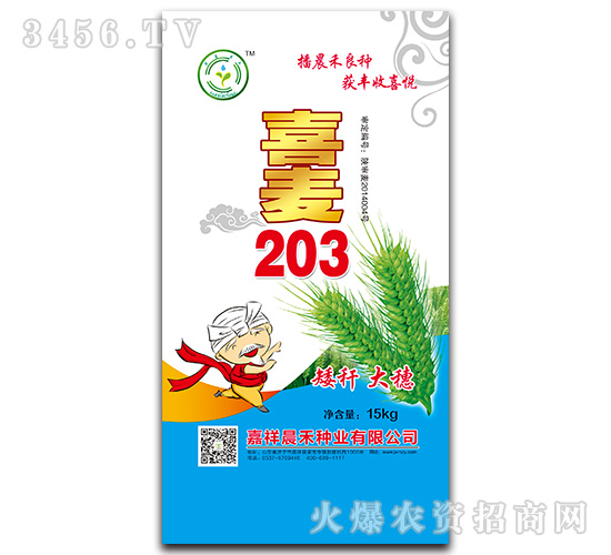 ϲ��203-С���N��-���̷N�I(y��)