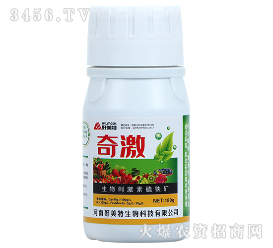 ����̼������F�V-�漤-������