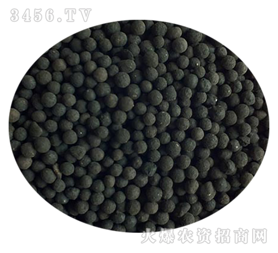 ������w��-�𚤻���