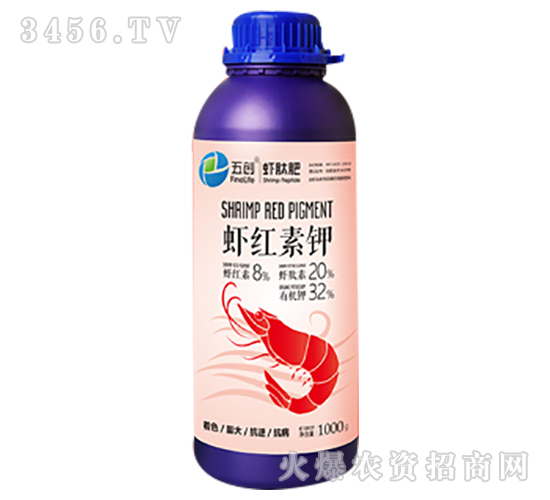 ������ɫ�����~���-�r�t���-�儓(chu��ng)