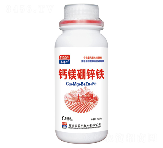 �}�V���\�F-���R�S