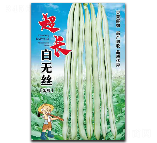 超長(zhǎng)白無(wú)絲-架豆種子-鑫源種業(yè)