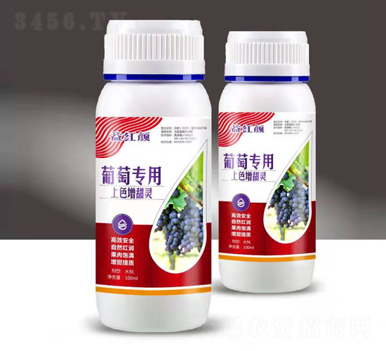 ���ь�����ɫ�����`-��t�-��M�}