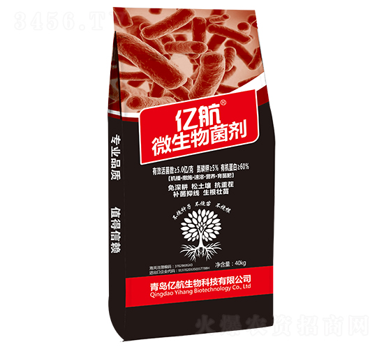 ΢�������-�|��