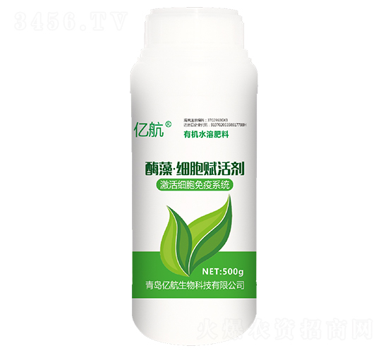 ø�塤�����x�-�|��