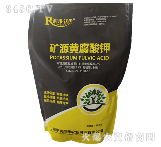 �VԴ�S�����-�A���s��