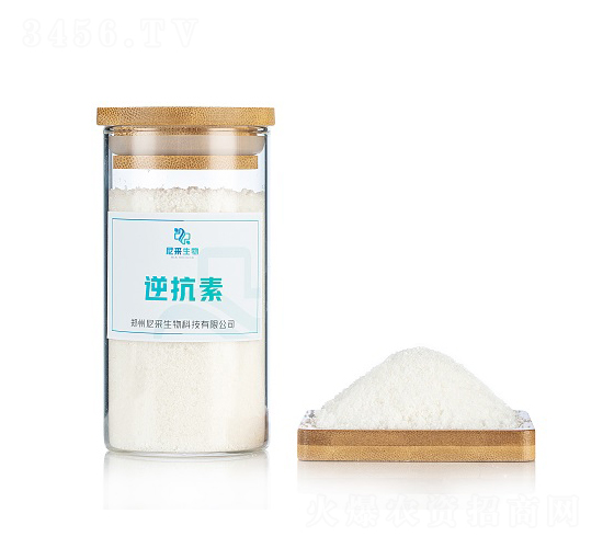 �濹��-�������