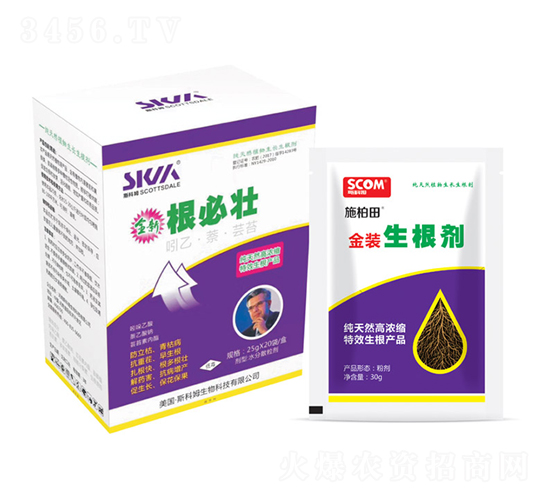 生根劑+根必壯-施柏田-斯科姆