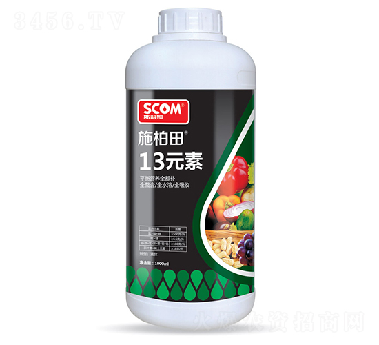 13Ԫ��-ʩ����-˹��ķ