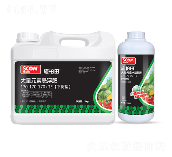 ƽ���ʹ���Ԫ�ؑҸ���170-170-170+TE-ʩ����-˹��ķ