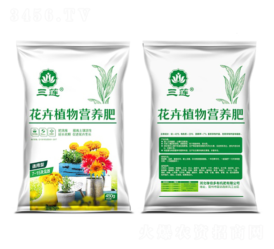 ����ֲ��I(y��ng)�B(y��ng)��-��ɏ-�ڱ���