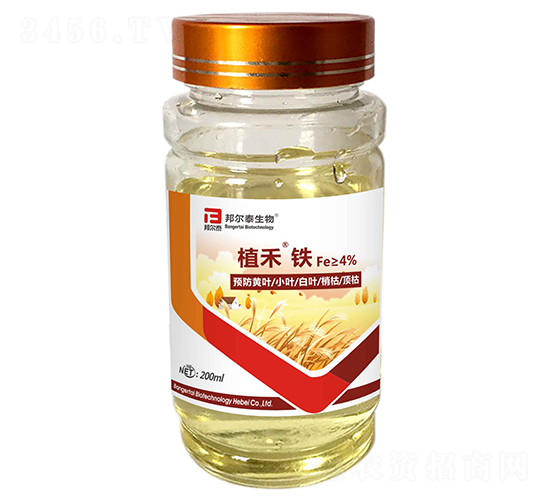 ֲ���F-�̩