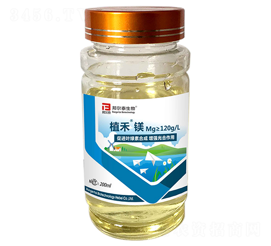 ֲ���V-�̩