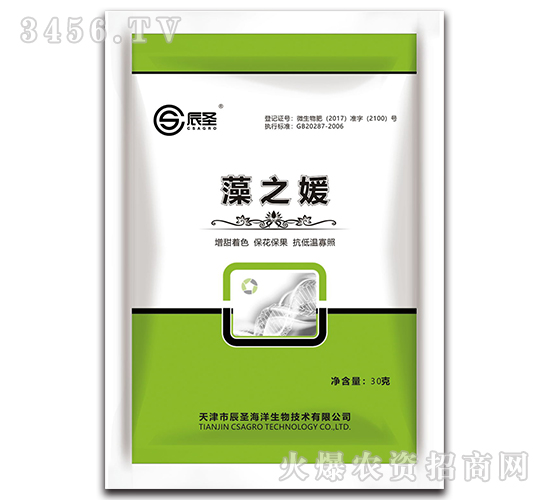 ��֮��-��ʥ