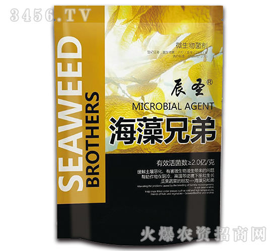 �����ֵ�-��ʥ