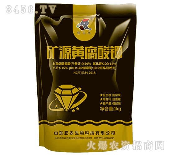 �VԴ�S�����-���S�B-���r(n��ng)����