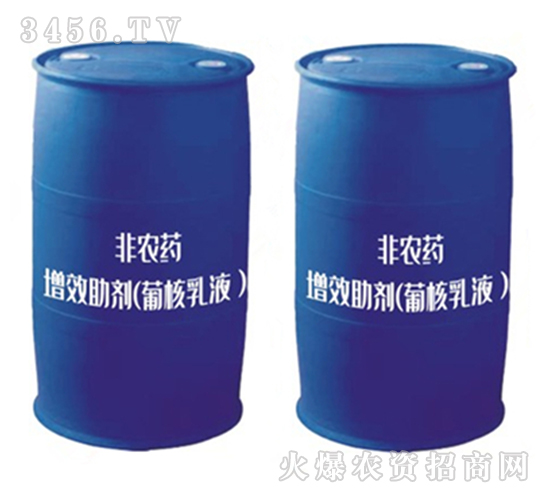 ��Ч�������Ϻ���Һ��-����̩