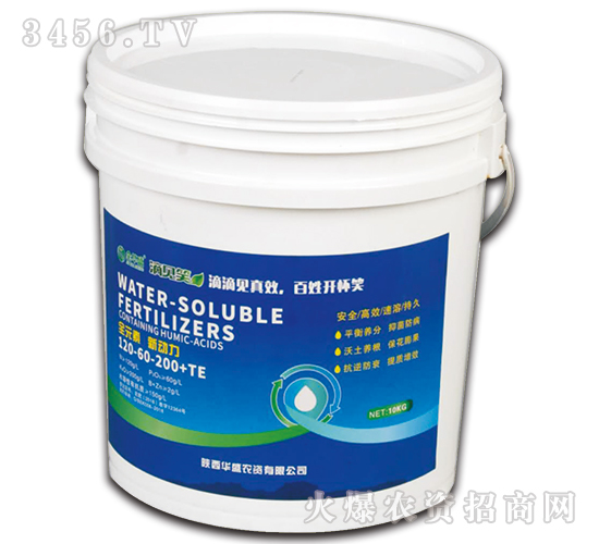 ��ҊЦ-���Aʢ