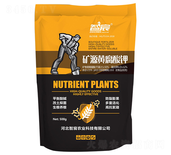 �VԴ�S�����-���