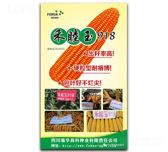 ������918-���׷N��-���A�߿�