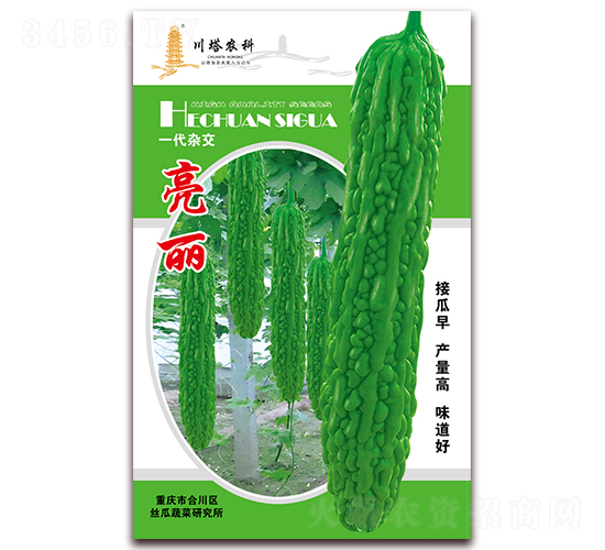 ����-��ϷN��-�����r(n��ng)��