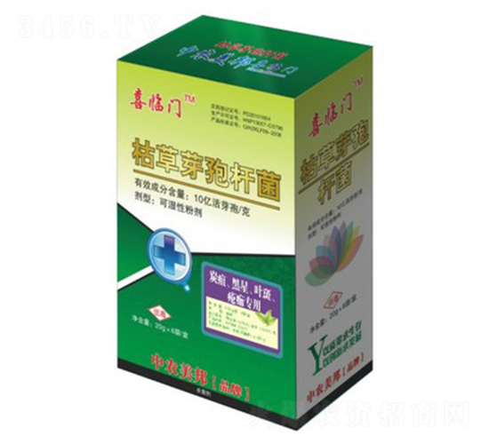 �ݲ�ѿ�ߗU����̿�����������~�ߣ�-ϲ�R�T-���r(n��ng)����