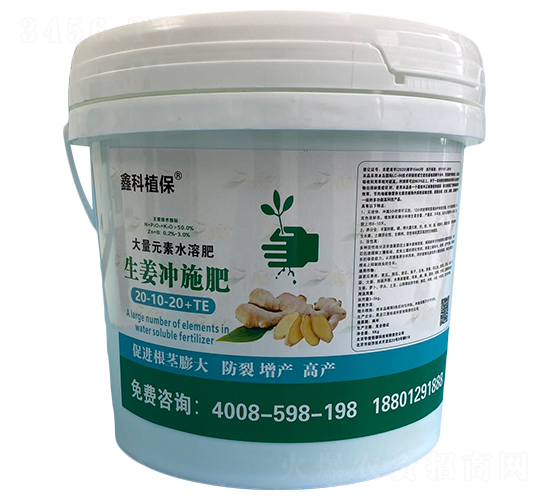 �����_ʩ��20-10-20+TE-�ο�ֲ��-������