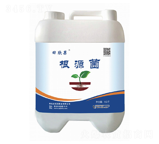 ��Դ��-������-�����