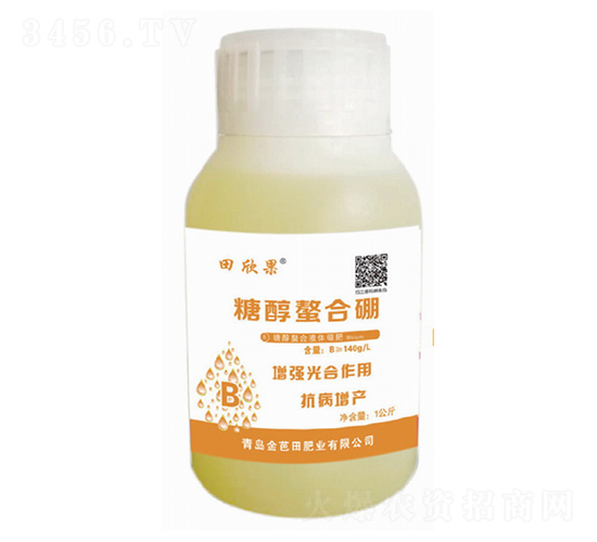 �Ǵ�������-������-�����