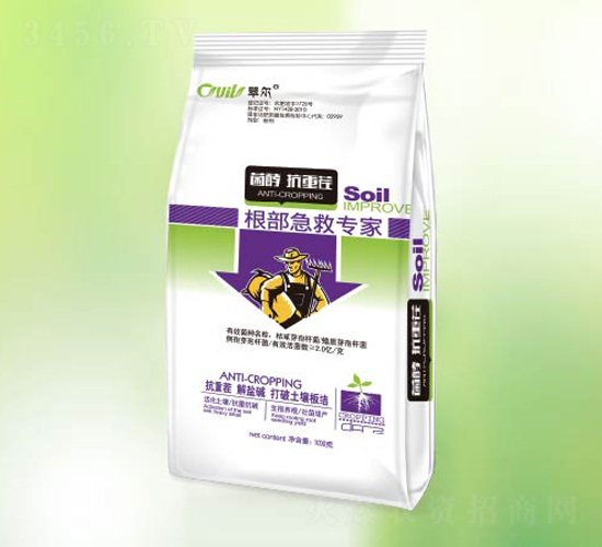 �������Ȍ���-�䠖-�|������