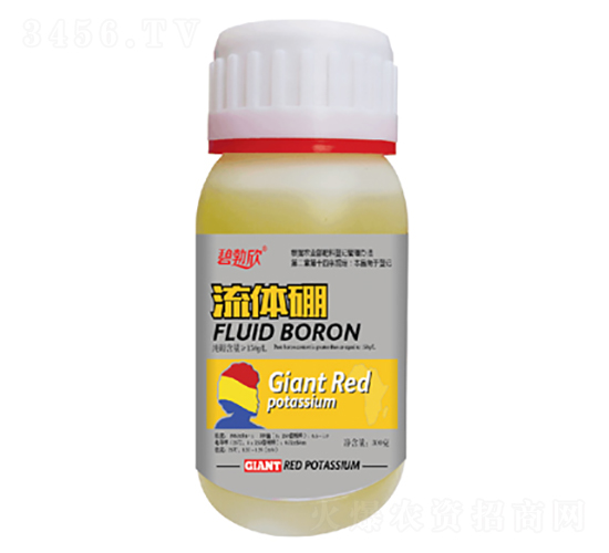 ���w��-�̲���-���̷ʘI(y��)