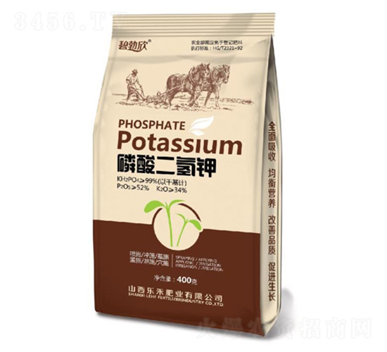 ��������-�̲���-���̷ʘI(y��)