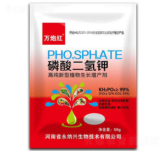 ��������-�f�ڼt-���{�d