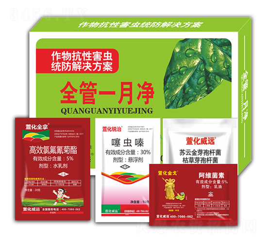 ȫ��һ��-�滯���h(yu��n)