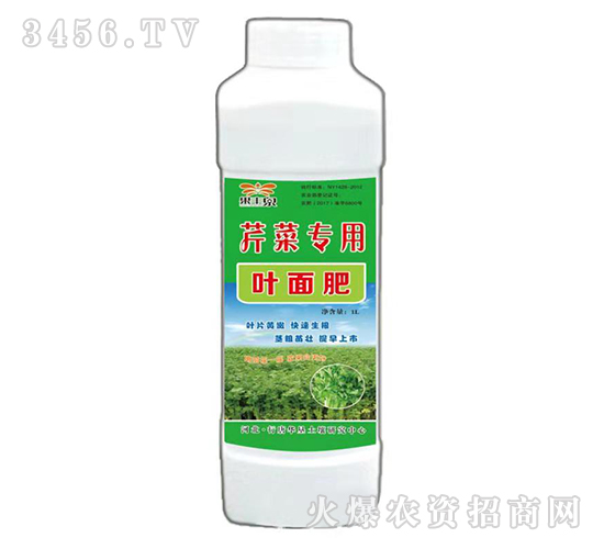 �۲ˌ����~���-��������