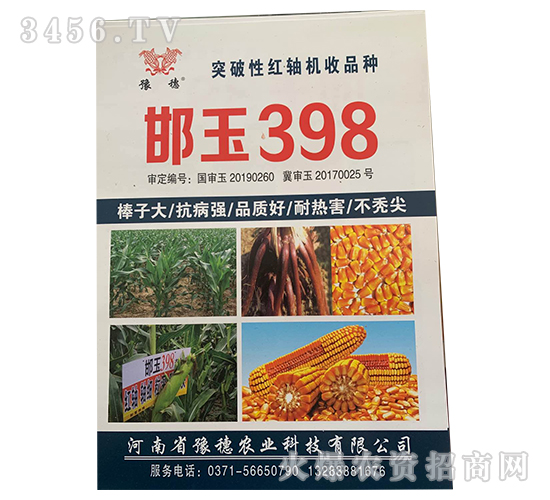 邯玉398-玉米種子-豫穗農(nóng)業(yè)