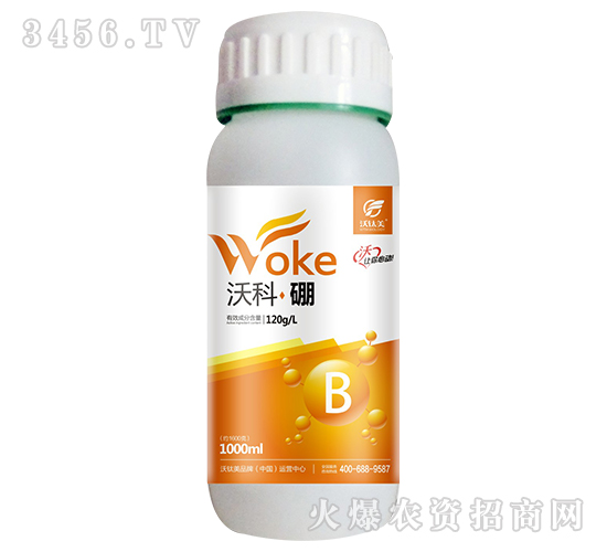 �ֿơ���-������