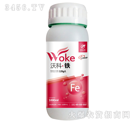 �ֿơ��F-������