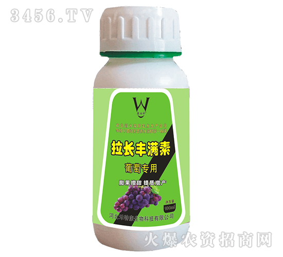 ���ь������L(zh��ng)�S�M��-�����a(b��)-���ؿ�