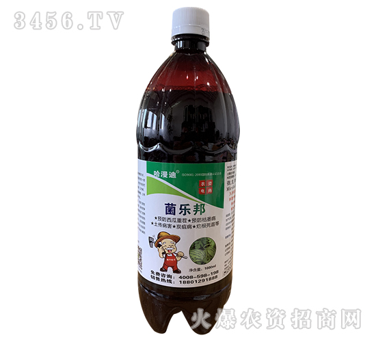 ������-�ο�ֲ��-������