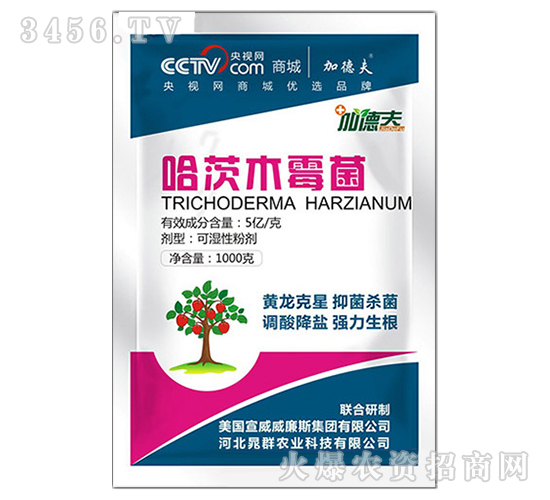 ����ľù��-��ɭ��