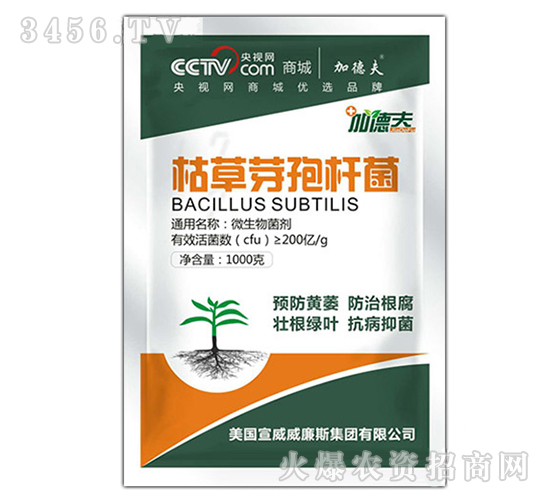 �ݲ�ѿ�ߗU��-��ɭ��