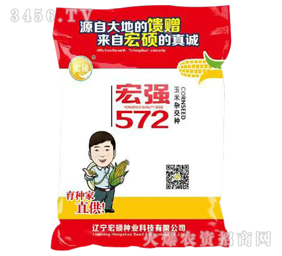 宏強(qiáng)572-玉米雜交種-宏碩種業(yè)