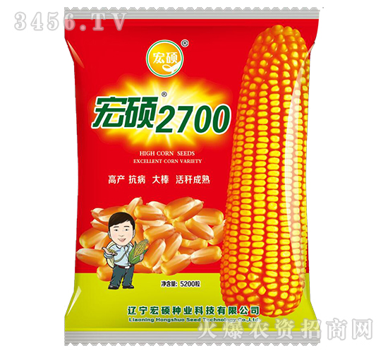 宏碩2700-玉米雜交種-宏碩種業(yè)