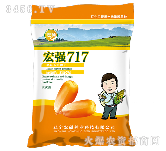 宏強717-玉米雜交種-宏碩種業(yè)