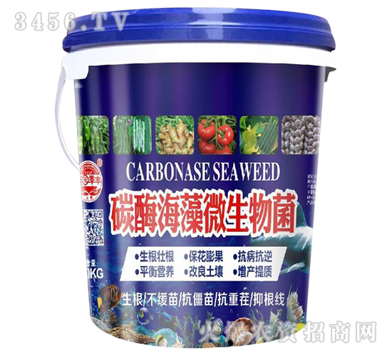 碳酶海藻微生物菌-田園季豐-大豐肥業(yè)